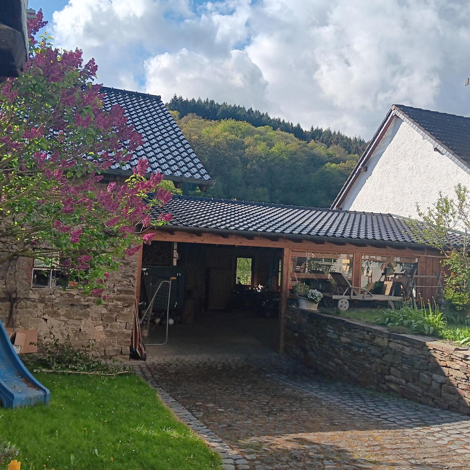 Eifler Brunnenhaus Villa Dumpelfeld Екстериор снимка